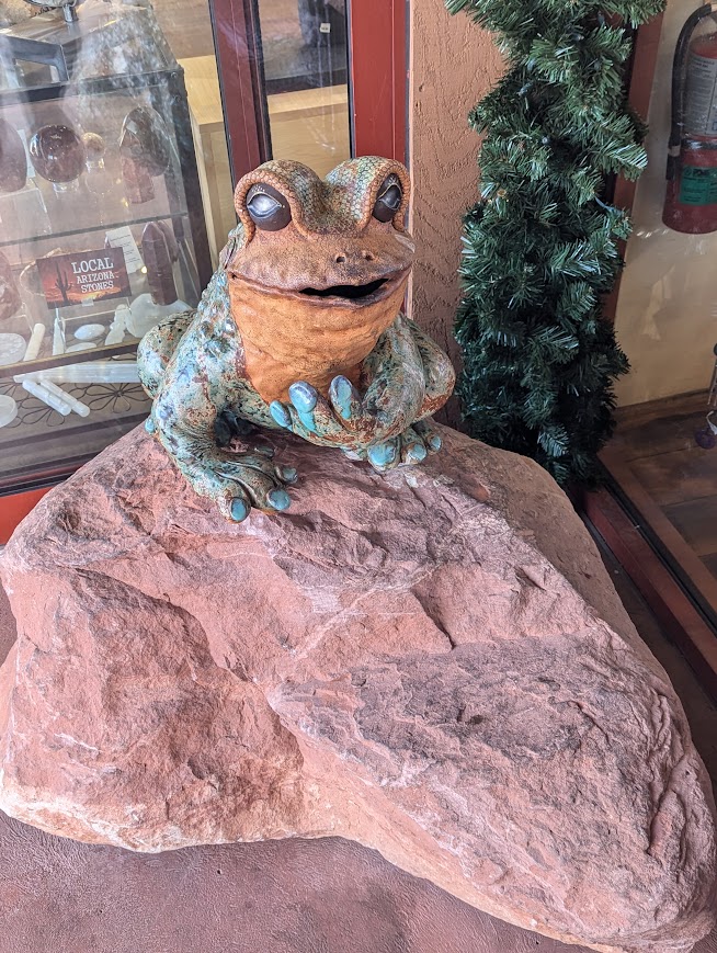 arizona photo 5
