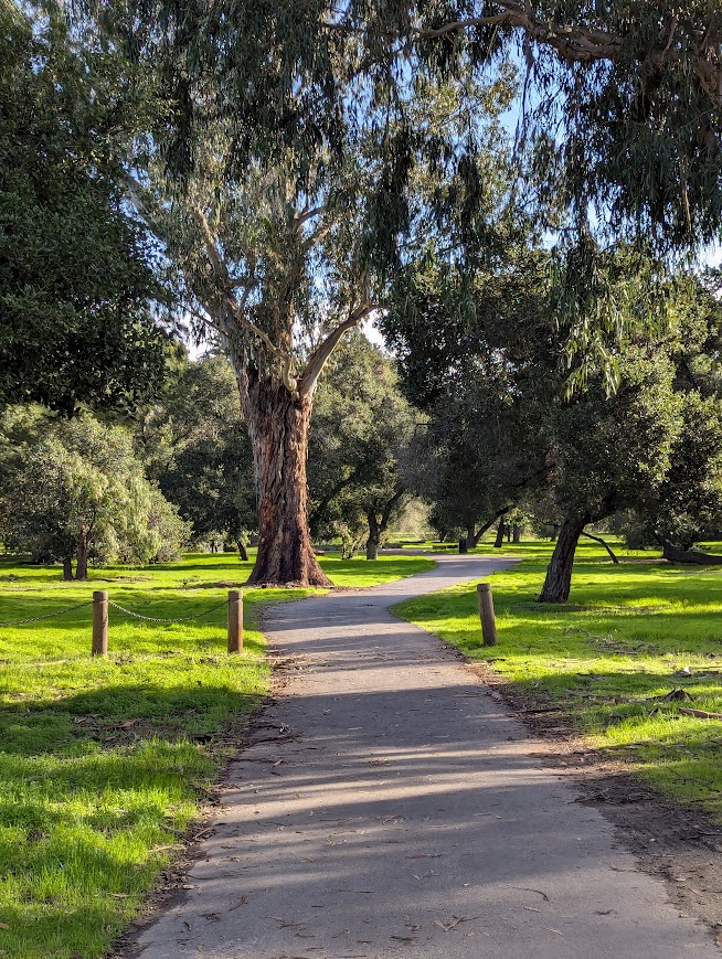 stanford photo 1